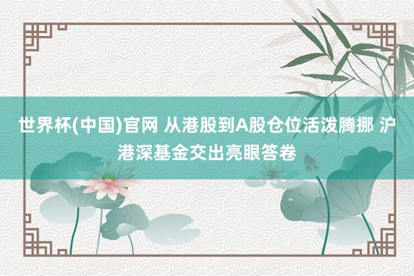 世界杯(中国)官网 从港股到A股仓位活泼腾挪 沪港深基金交出亮眼答卷