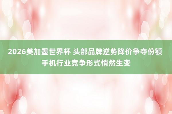 2026美加墨世界杯 头部品牌逆势降价争夺份额 手机行业竞争形式悄然生变