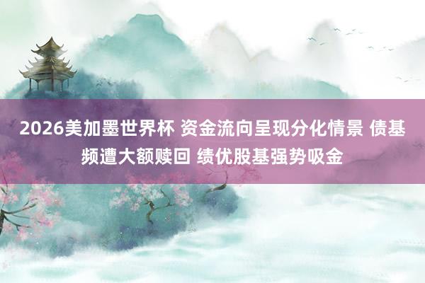 2026美加墨世界杯 资金流向呈现分化情景 债基频遭大额赎回 绩优股基强势吸金