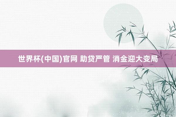 世界杯(中国)官网 助贷严管 消金迎大变局