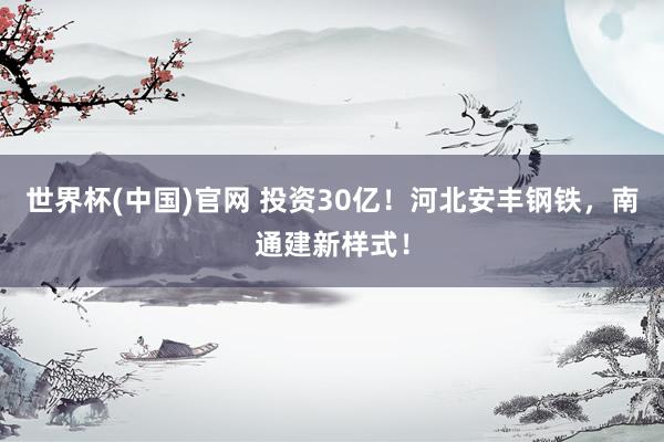世界杯(中国)官网 投资30亿！河北安丰钢铁，南通建新样式！