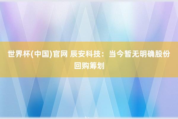 世界杯(中国)官网 辰安科技：当今暂无明确股份回购筹划