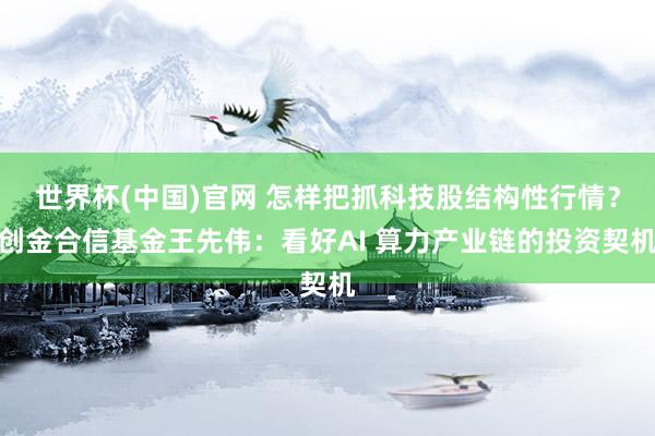 世界杯(中国)官网 怎样把抓科技股结构性行情？创金合信基金王先伟：看好AI 算力产业链的投资契机