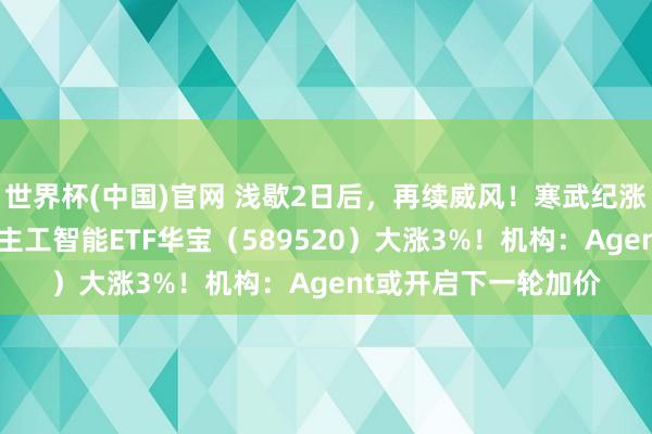 世界杯(中国)官网 浅歇2日后，再续威风！寒武纪涨逾2%，科创东说念主工智能ETF华宝（589520）大涨3%！机构：Agent或开启下一轮加价