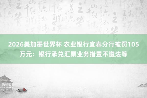 2026美加墨世界杯 农业银行宜春分行被罚105万元：银行承兑汇票业务措置不遵法等