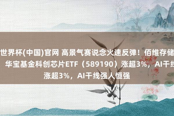 世界杯(中国)官网 高景气赛说念火速反弹！佰维存储领涨11%，华宝基金科创芯片ETF（589190）涨超3%，AI干线强人恒强