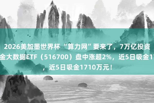 2026美加墨世界杯 “算力网”要来了，7万亿投资！华宝基金大数据ETF（516700）盘中涨超2%，近5日吸金1710万元！