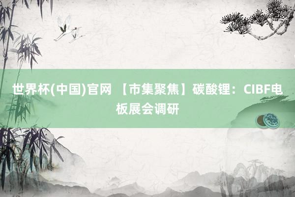 世界杯(中国)官网 【市集聚焦】碳酸锂：CIBF电板展会调研