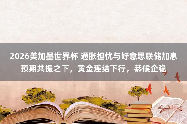 2026美加墨世界杯 通胀担忧与好意思联储加息预期共振之下，黄金连结下行，恭候企稳