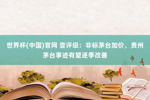 世界杯(中国)官网 壹评级：非标茅台加价，贵州茅台事迹有望逐季改善