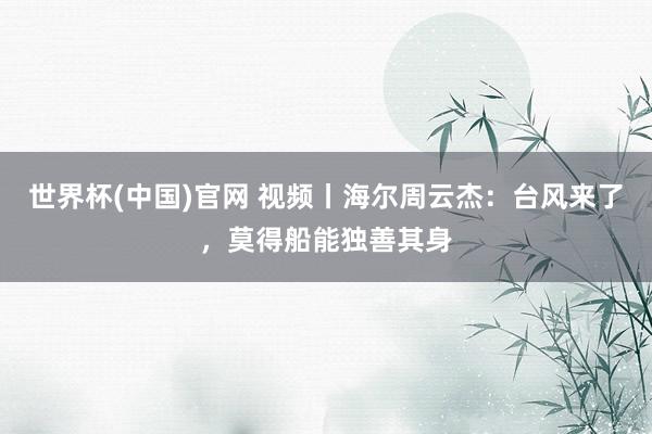 世界杯(中国)官网 视频丨海尔周云杰：台风来了，莫得船能独善其身
