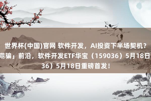 世界杯(中国)官网 软件开发，AI投资下半场契机？直击「AI期骗」前沿，软件开发ETF华宝（159036）5月18日重磅首发！