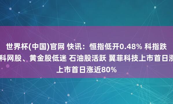 世界杯(中国)官网 快讯：恒指低开0.48% 科指跌0.88% 科网股、黄金股低迷 石油股活跃 翼菲科技上市首日涨近80%