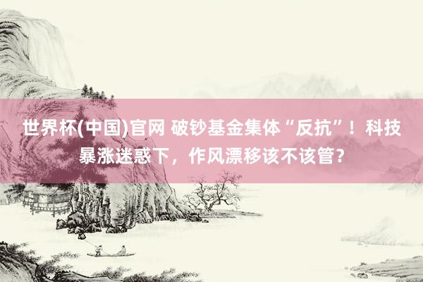 世界杯(中国)官网 破钞基金集体“反抗”！科技暴涨迷惑下，作风漂移该不该管？