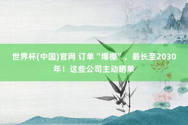 世界杯(中国)官网 订单“爆棚”，最长至2030年！这些公司主动晒单