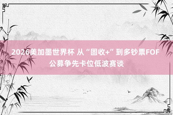 2026美加墨世界杯 从“固收+”到多钞票FOF 公募争先卡位低波赛谈