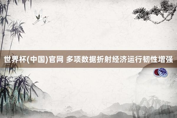 世界杯(中国)官网 多项数据折射经济运行韧性增强