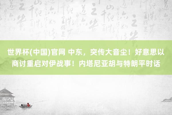 世界杯(中国)官网 中东，突传大音尘！好意思以商讨重启对伊战事！内塔尼亚胡与特朗平时话