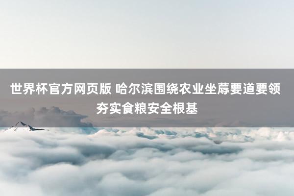 世界杯官方网页版 哈尔滨围绕农业坐蓐要道要领 夯实食粮安全根基