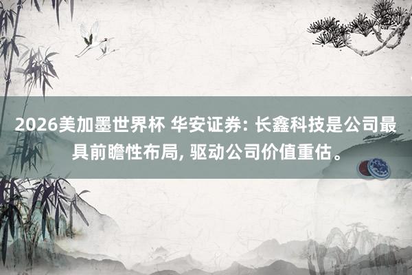 2026美加墨世界杯 华安证券: 长鑫科技是公司最具前瞻性布局， 驱动公司价值重估。