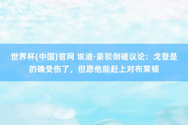 世界杯(中国)官网 埃迪·豪驳倒磋议论：戈登是的确受伤了，但愿他能赶上对布莱顿