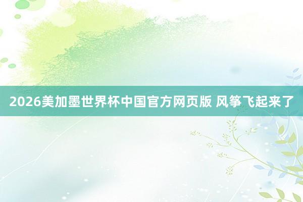 2026美加墨世界杯中国官方网页版 风筝飞起来了