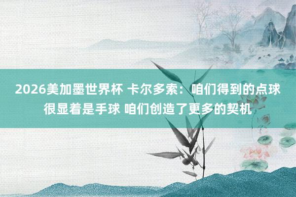 2026美加墨世界杯 卡尔多索：咱们得到的点球很显着是手球 咱们创造了更多的契机