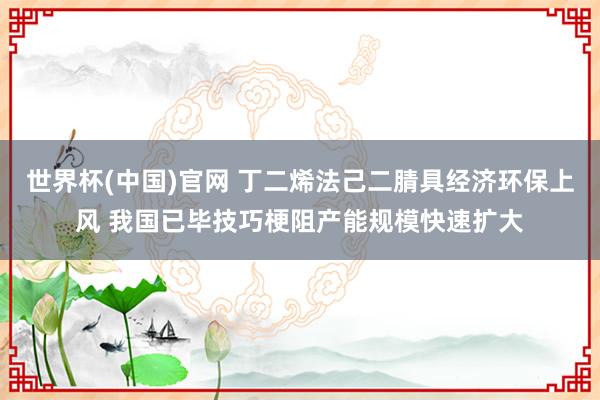 世界杯(中国)官网 丁二烯法己二腈具经济环保上风 我国已毕技巧梗阻产能规模快速扩大