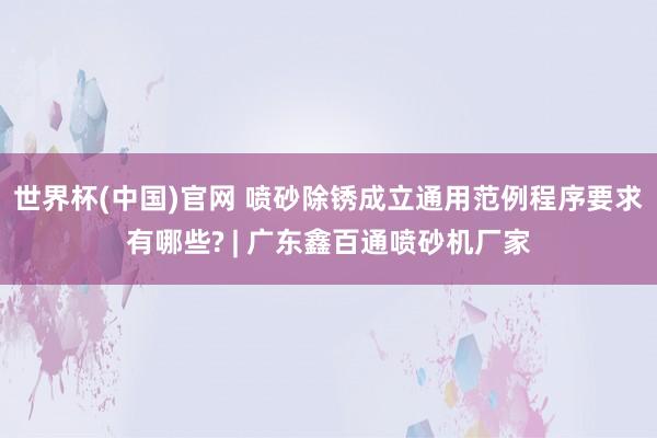 世界杯(中国)官网 喷砂除锈成立通用范例程序要求有哪些? | 广东鑫百通喷砂机厂家