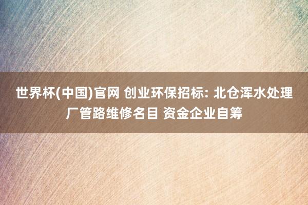 世界杯(中国)官网 创业环保招标: 北仓浑水处理厂管路维修名目 资金企业自筹