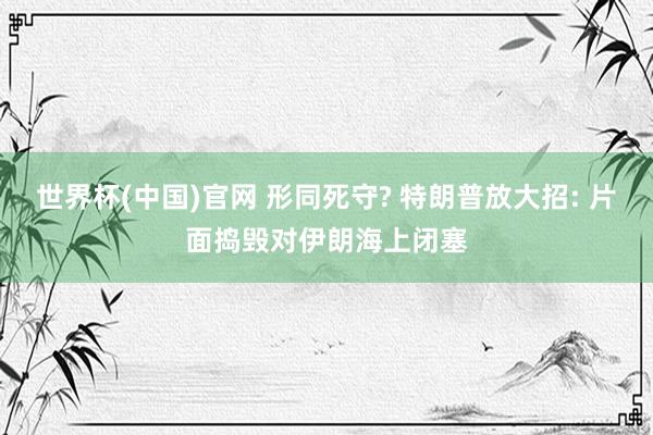 世界杯(中国)官网 形同死守? 特朗普放大招: 片面捣毁对伊朗海上闭塞