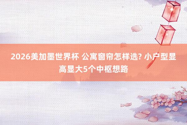 2026美加墨世界杯 公寓窗帘怎样选? 小户型显高显大5个中枢想路
