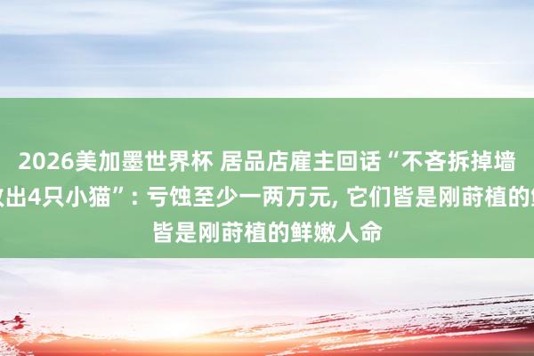 2026美加墨世界杯 居品店雇主回话“不吝拆掉墙和吊顶救出4只小猫”: 亏蚀至少一两万元， 它们皆是刚莳植的鲜嫩人命
