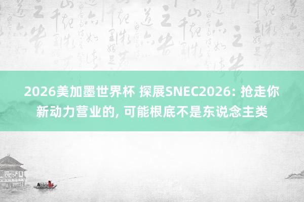 2026美加墨世界杯 探展SNEC2026: 抢走你新动力营业的， 可能根底不是东说念主类