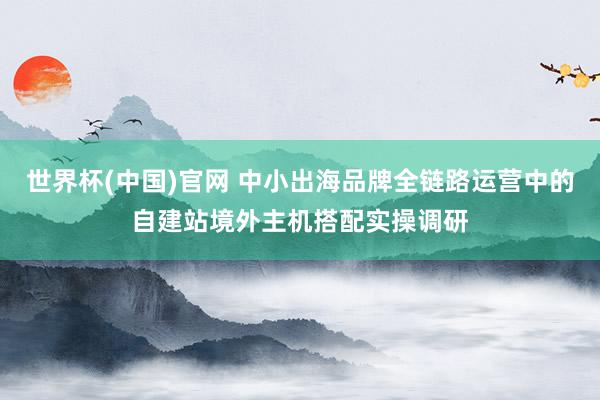 世界杯(中国)官网 中小出海品牌全链路运营中的自建站境外主机搭配实操调研