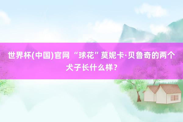 世界杯(中国)官网 “球花”莫妮卡·贝鲁奇的两个犬子长什么样？