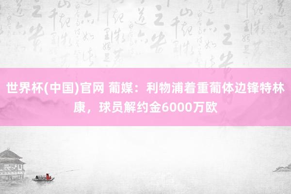 世界杯(中国)官网 葡媒：利物浦着重葡体边锋特林康，球员解约金6000万欧