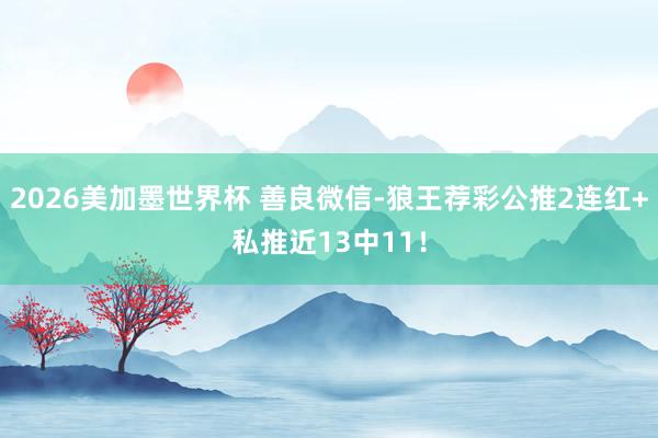 2026美加墨世界杯 善良微信-狼王荐彩公推2连红+私推近13中11！