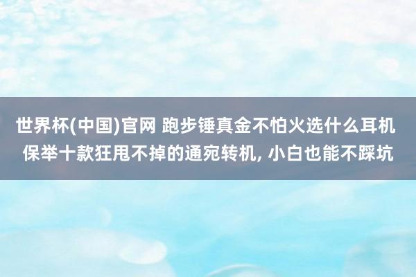 世界杯(中国)官网 跑步锤真金不怕火选什么耳机 保举十款狂甩不掉的通宛转机, 小白也能不踩坑