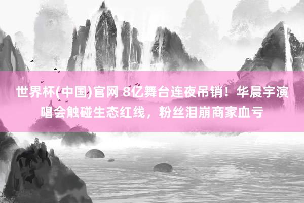 世界杯(中国)官网 8亿舞台连夜吊销！华晨宇演唱会触碰生态红线，粉丝泪崩商家血亏