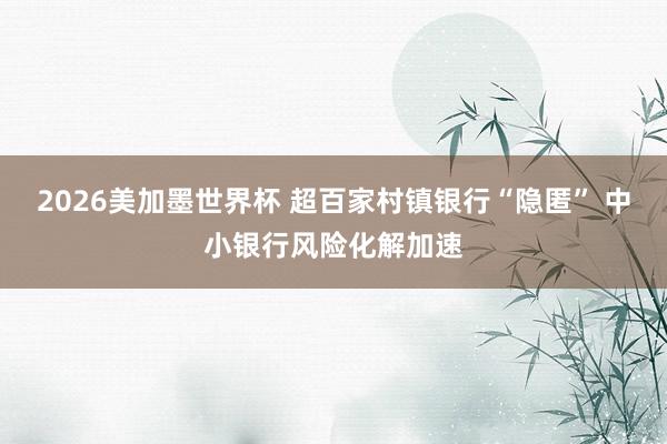 2026美加墨世界杯 超百家村镇银行“隐匿” 中小银行风险化解加速