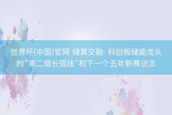 世界杯(中国)官网 储算交融: 科创板储能龙头的“第二增长弧线”和下一个五年新赛说念