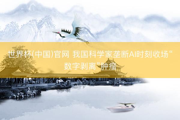 世界杯(中国)官网 我国科学家垄断AI时刻收场“数字剥离”肿瘤