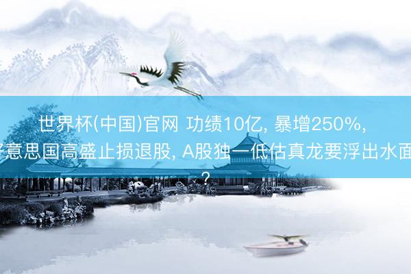 世界杯(中国)官网 功绩10亿, 暴增250%, 好意思国高盛止损退股, A股独一低估真龙要浮出水面?