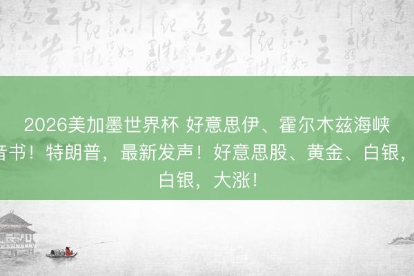 2026美加墨世界杯 好意思伊、霍尔木兹海峡，大音书！特朗普，最新发声！好意思股、黄金、白银，大涨！