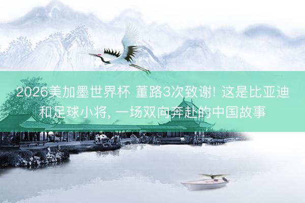2026美加墨世界杯 董路3次致谢! 这是比亚迪和足球小将， 一场双向奔赴的中国故事