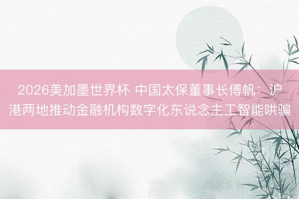 2026美加墨世界杯 中国太保董事长傅帆：沪港两地推动金融机构数字化东说念主工智能哄骗