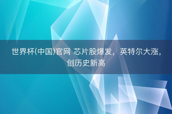 世界杯(中国)官网 芯片股爆发,英特尔大涨,创历史新高